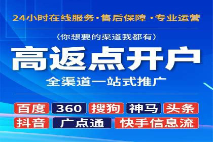百度SEO推广公司案例分享：实战经验谈